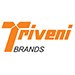 Triveni smelters pvt ltd
